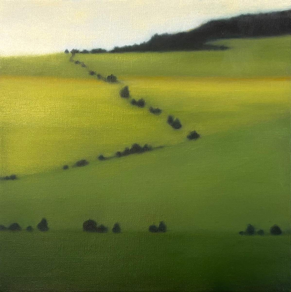 Sequencing Green
