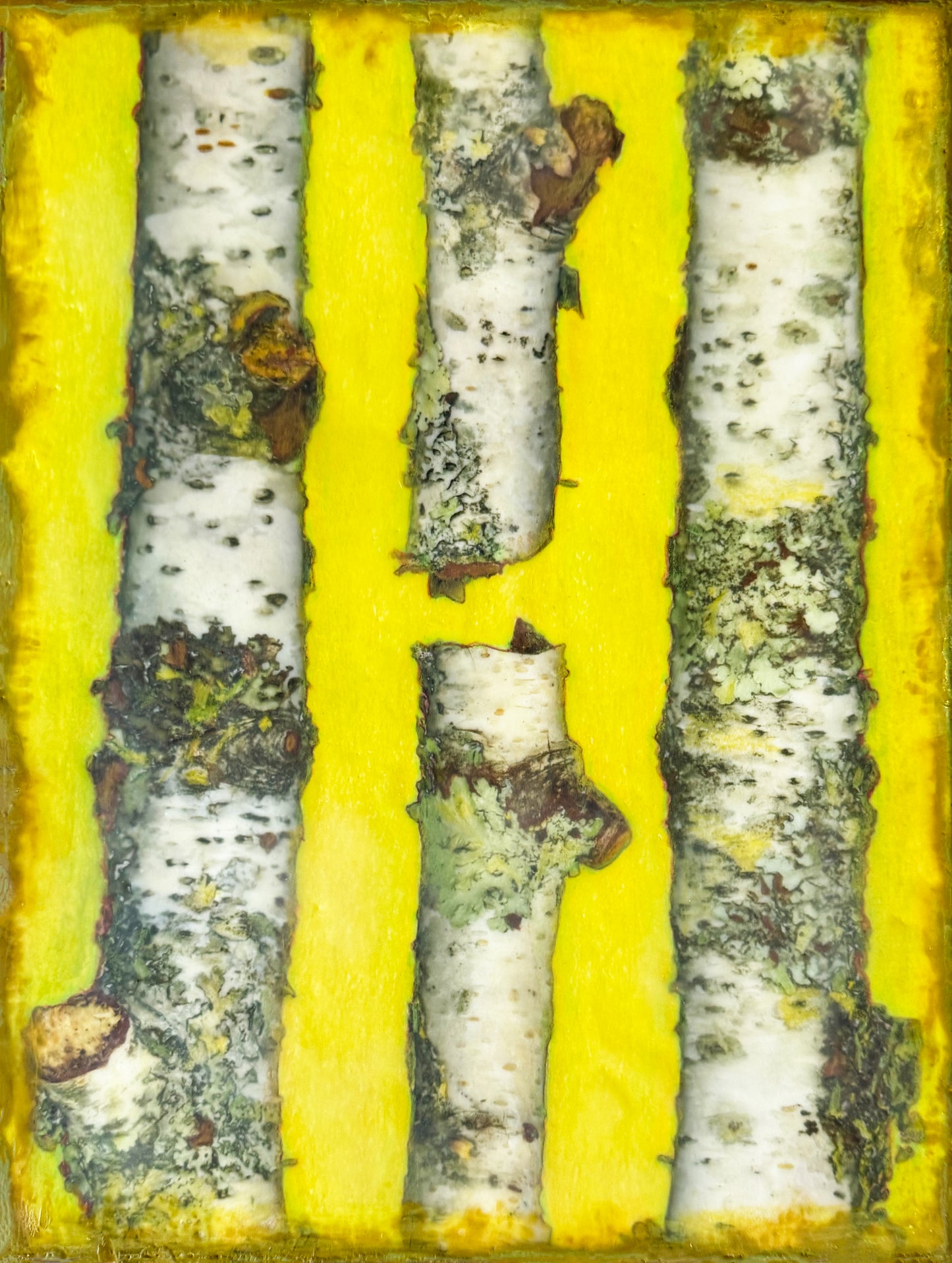 “Among the Birches”