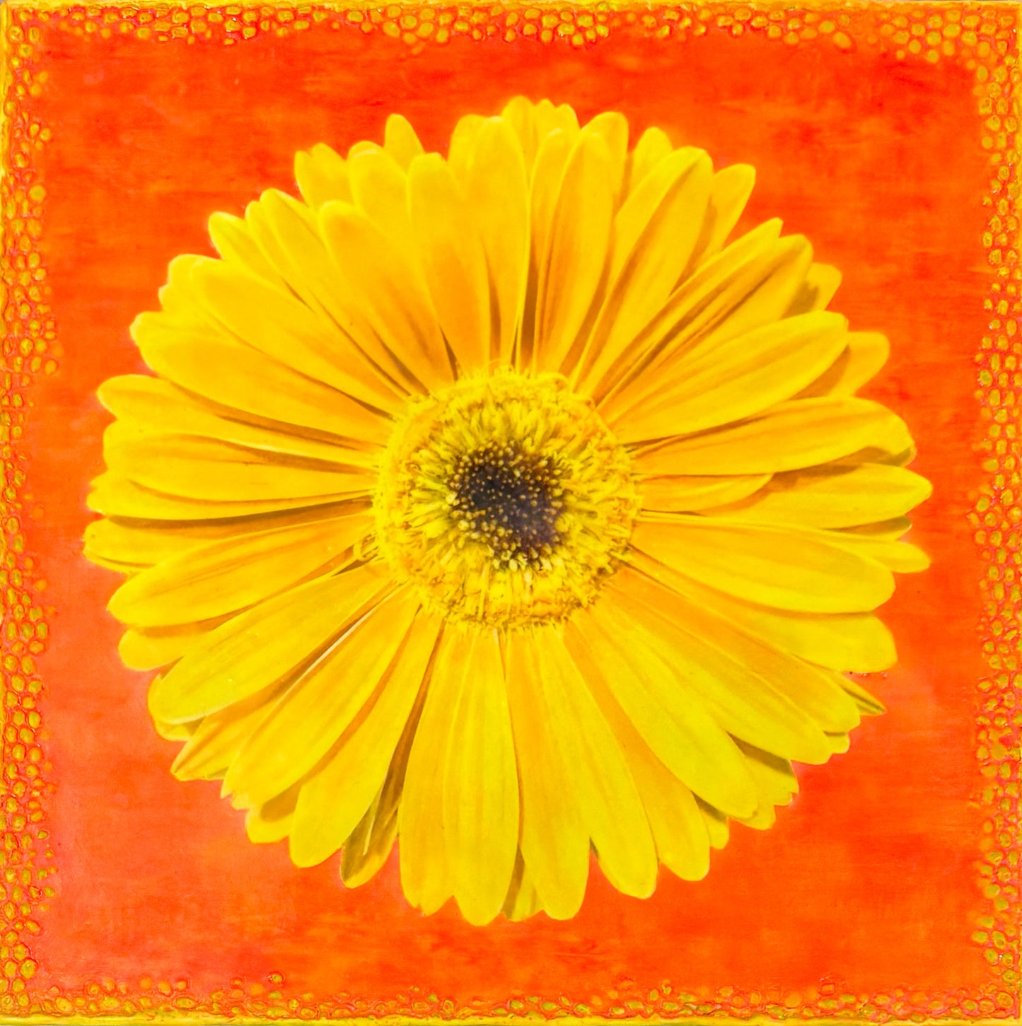 “Colorburst Yellow”