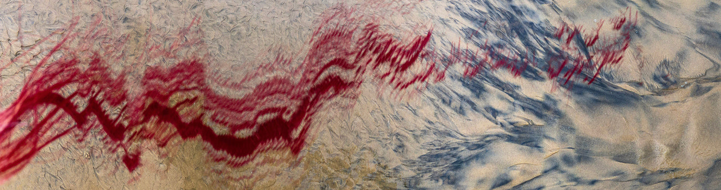 "Bleeding Tide"