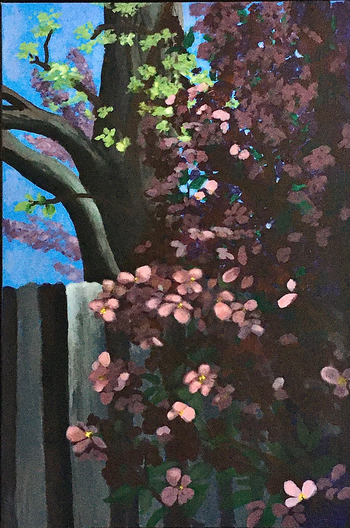 "My Backyard Trees"