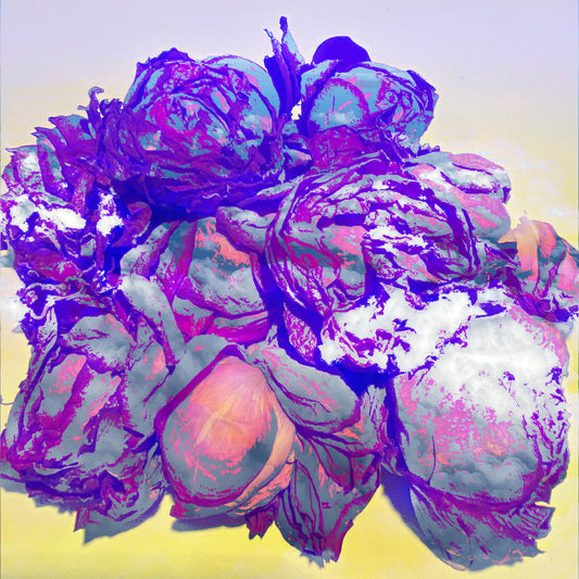 “Roses in the Clouds”