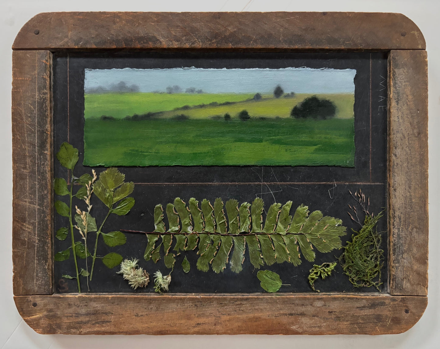 Monreith Summer Fields