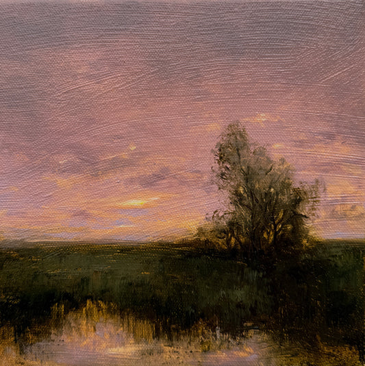 “Sky of Pink Delight”