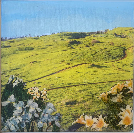 “Small World #6”