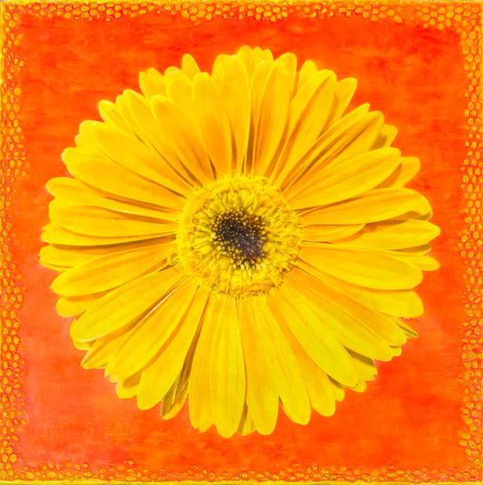 “Colorburst Yellow”
