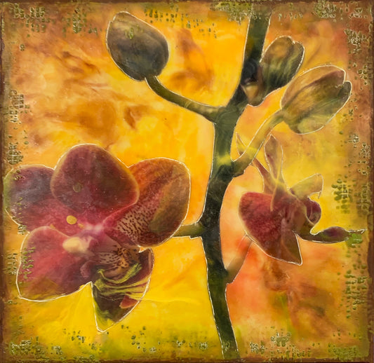 “Renewal”