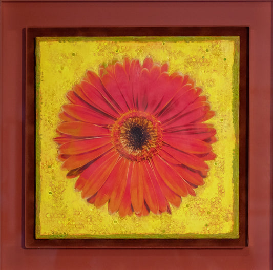“Colorburst Fuchsia”