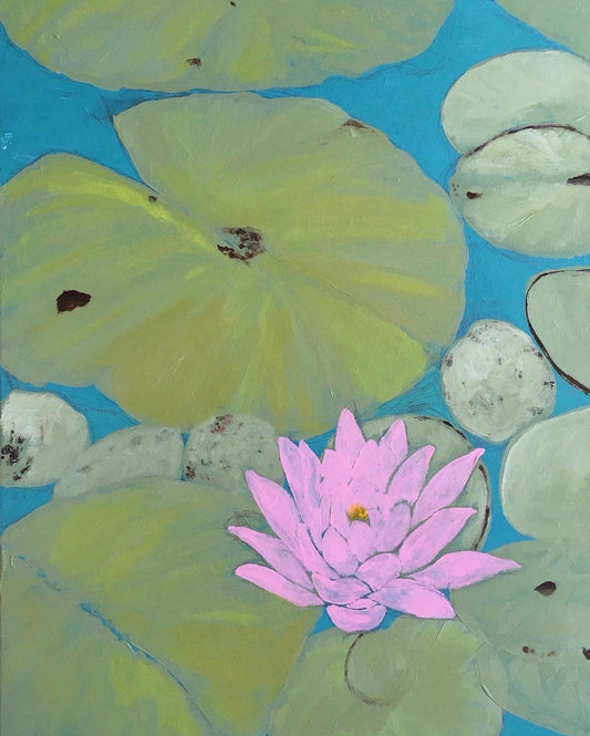 "A Little Lily Pond"